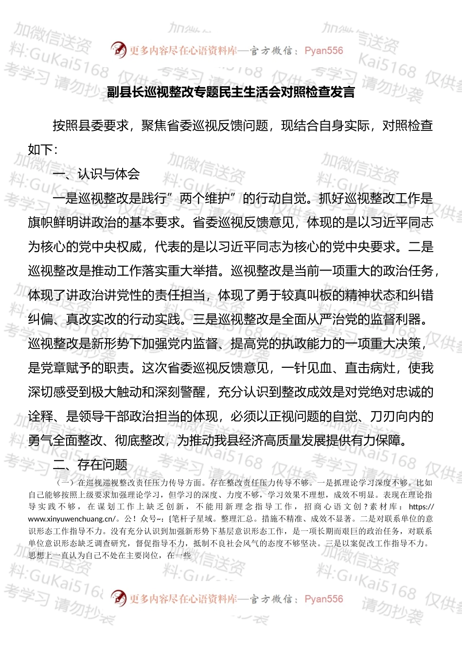 巡视整改专题民主生活会对照检查发言.docx_第1页
