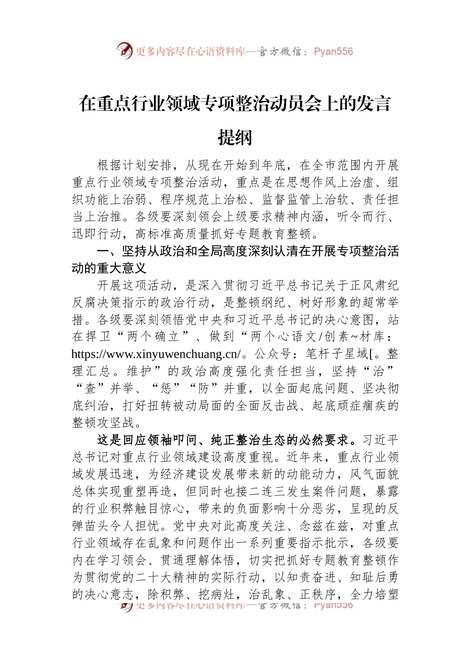 在重点行业领域专项整治动员会上的发言提纲.docx_第1页