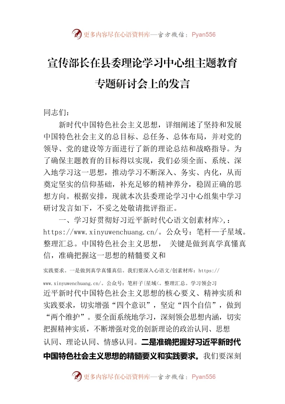 宣传部长在县委理论学习中心组主题教育专题研讨会上的发言.docx_第1页