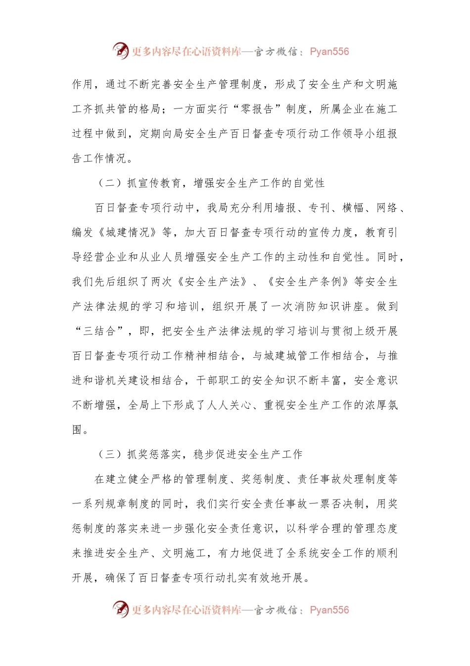 安全生产百日督查专项行动工作总结（全文7412字）.docx_第2页