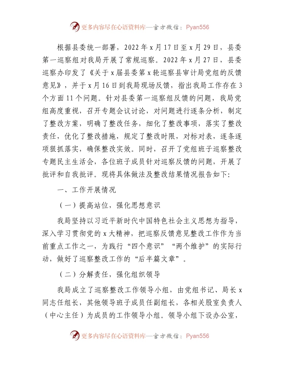 巡察反馈意见的整改情况总结报告（审计6200字）.docx_第1页