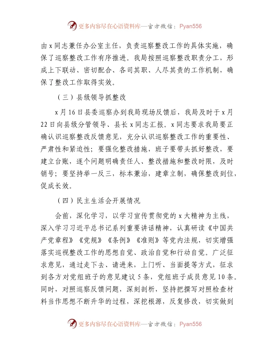 巡察反馈意见的整改情况总结报告（审计6200字）.docx_第2页