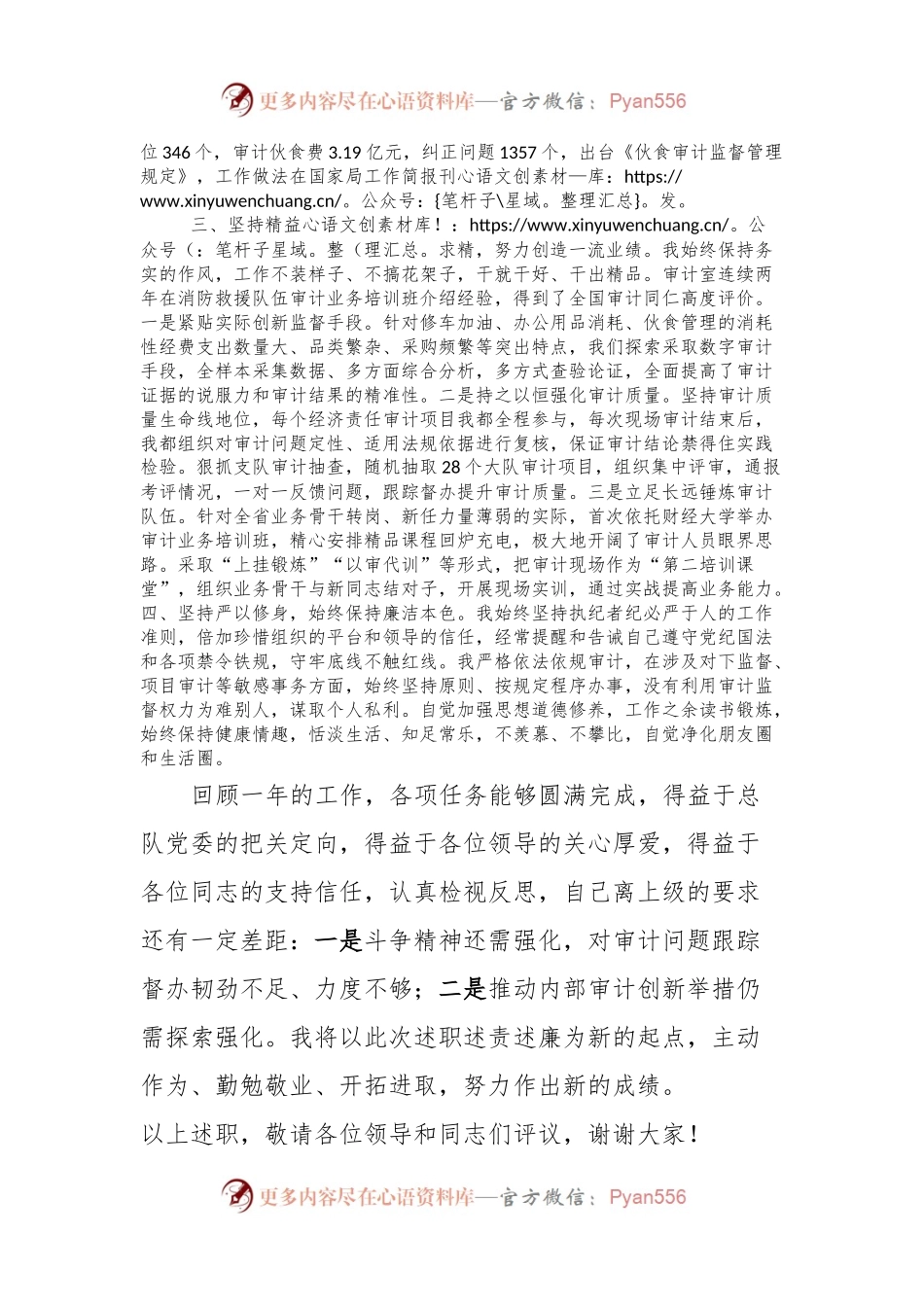 审计部门主任述职述廉发言.docx_第2页