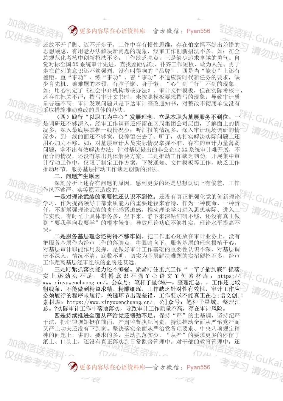 审计干部202X年度组织生活会四个方面个人对照检查发言材料.docx_第2页