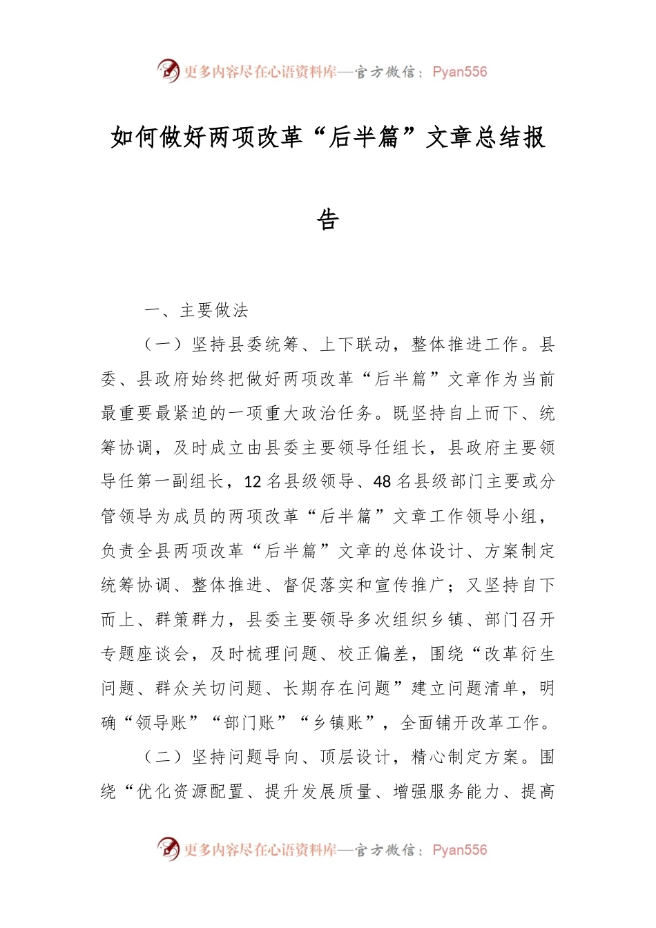 如何做好两项改革“后半篇”文章总结报告.docx_第1页