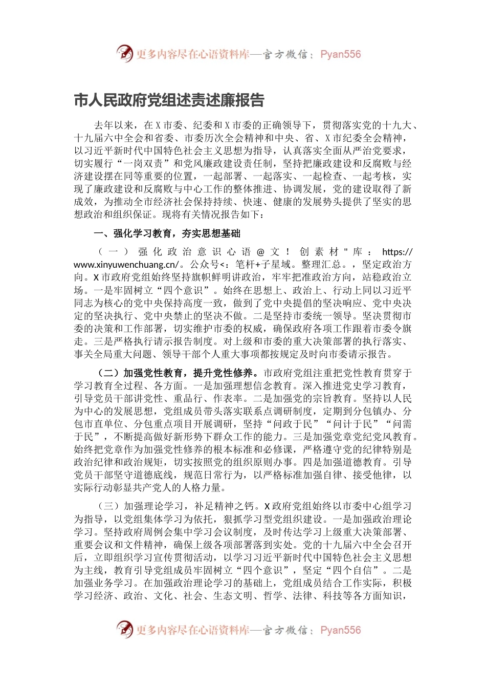 市人民政府党组述责述廉报告.docx_第1页