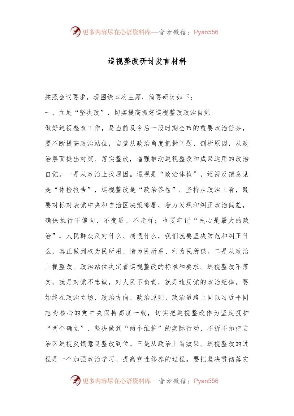 巡视整改研讨发言材料.docx_第1页