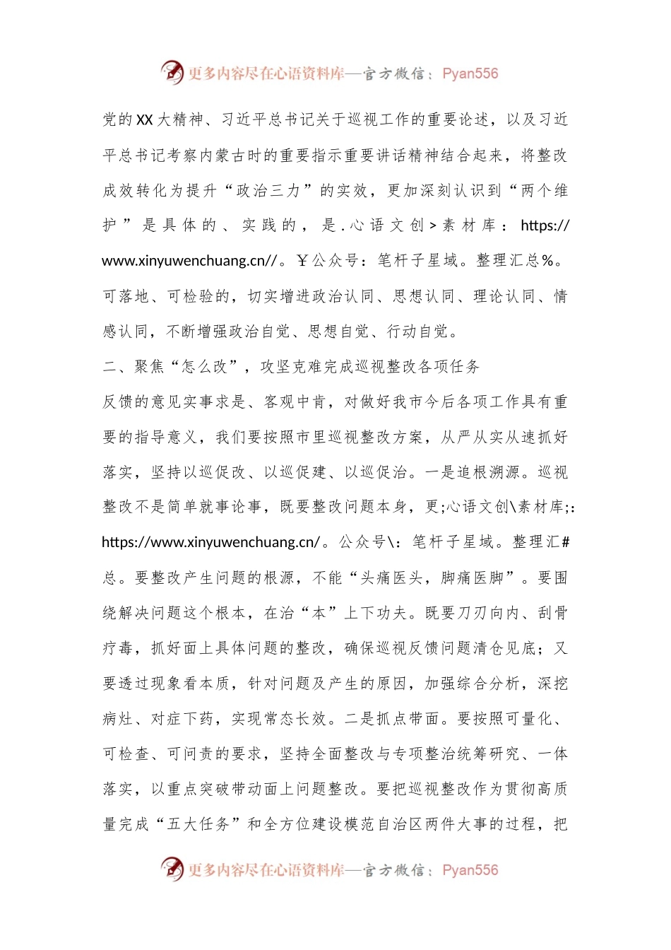 巡视整改研讨发言材料.docx_第2页