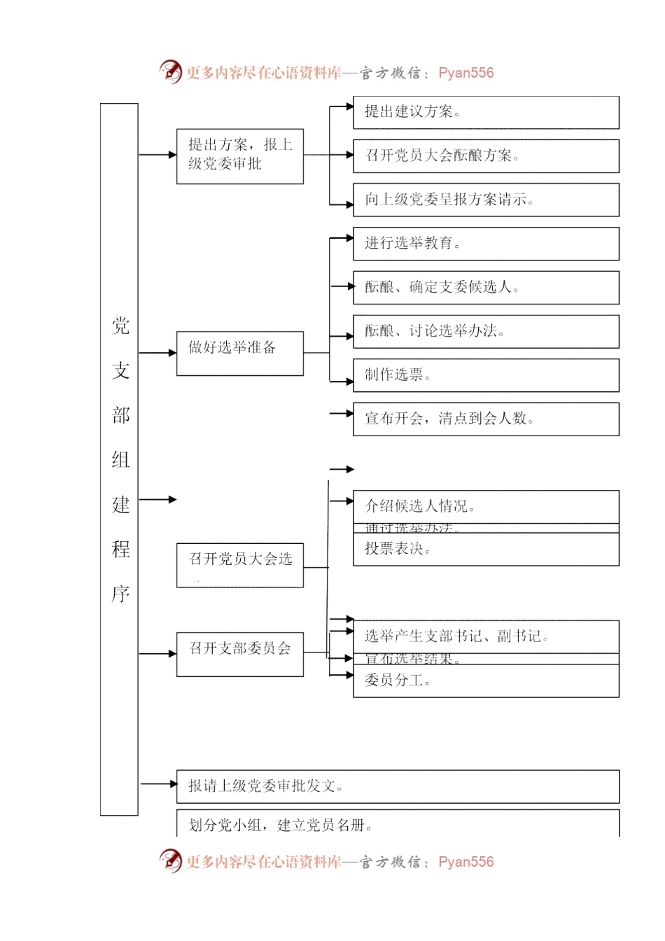 基层党建工作20个标准流程图.docx_第2页