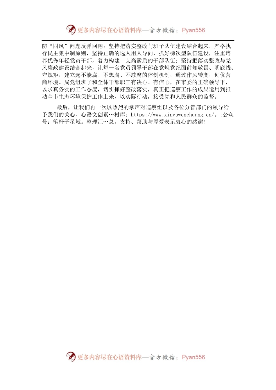 局党组成员、副局长在市委巡察反馈会议上的表态发言.docx_第2页