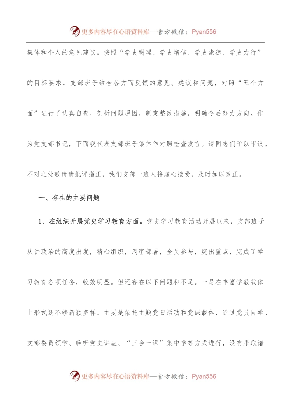 学习教育专题组织生活会领导班子对照检查材料[政法机关党支部].docx_第2页