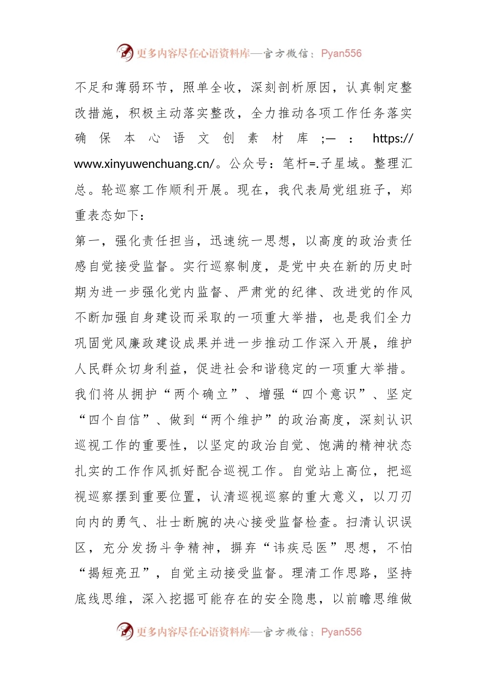局党组书记在2024年巡察进驻工作动员会上的表态发言稿提纲.docx_第2页