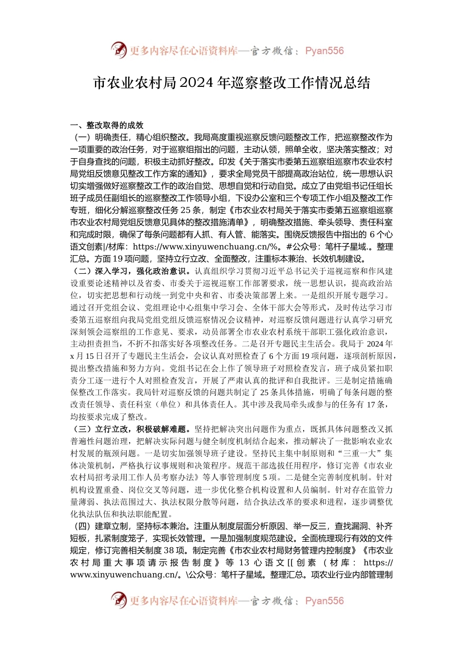市农业农村局2024年巡察整改工作情况总结.docx_第1页