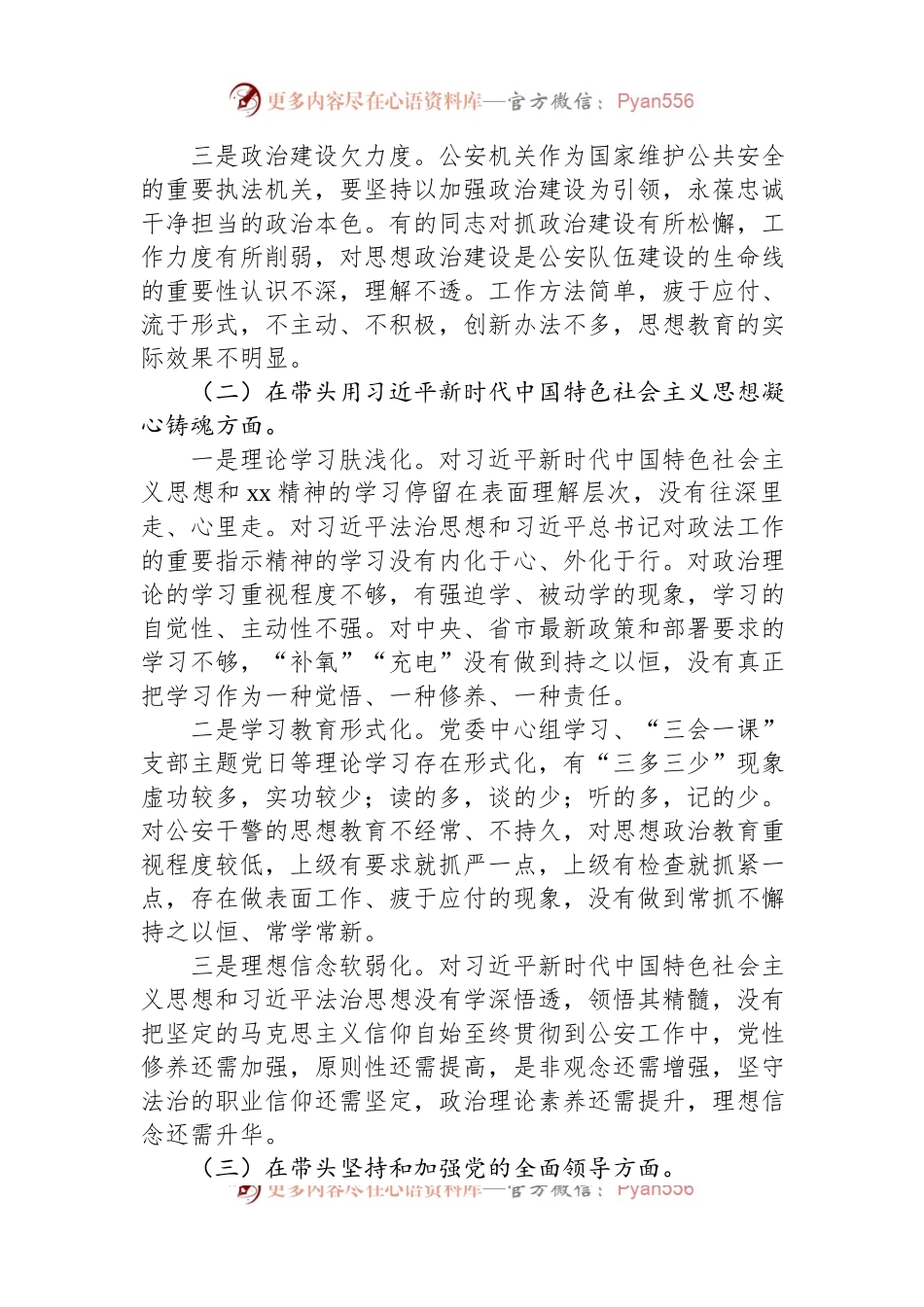市公安局领导班子2022年度民主生活会“六个带头”对照检查材料.docx_第2页