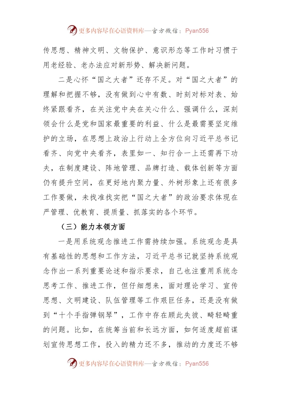 宣传部长2023年主题教育民主生活会领导干部个人发言提纲（3608字）.docx_第2页