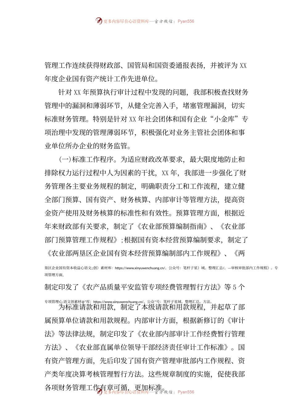 审计见面会发言范文.docx_第2页