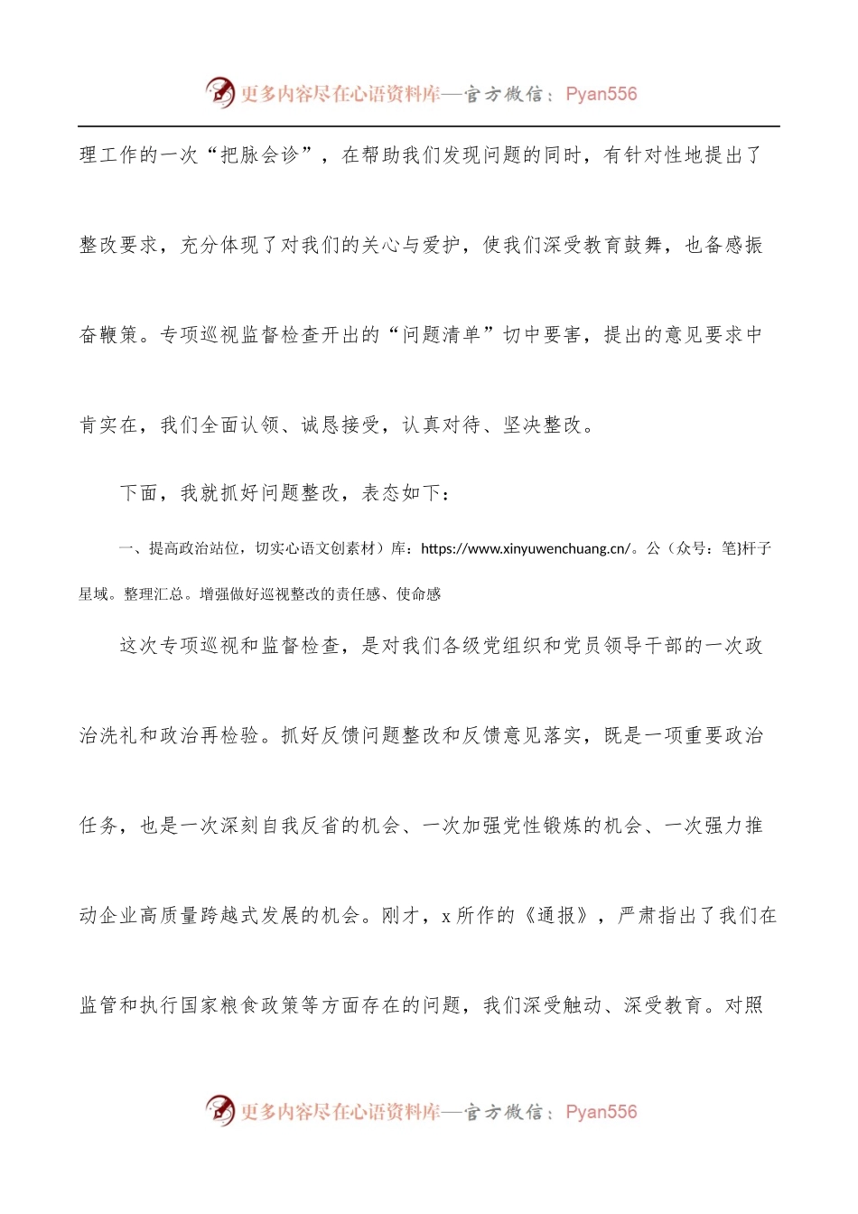 在涉粮问题集中反馈暨整改部署推进会上的表态发言[集团公司].docx_第2页