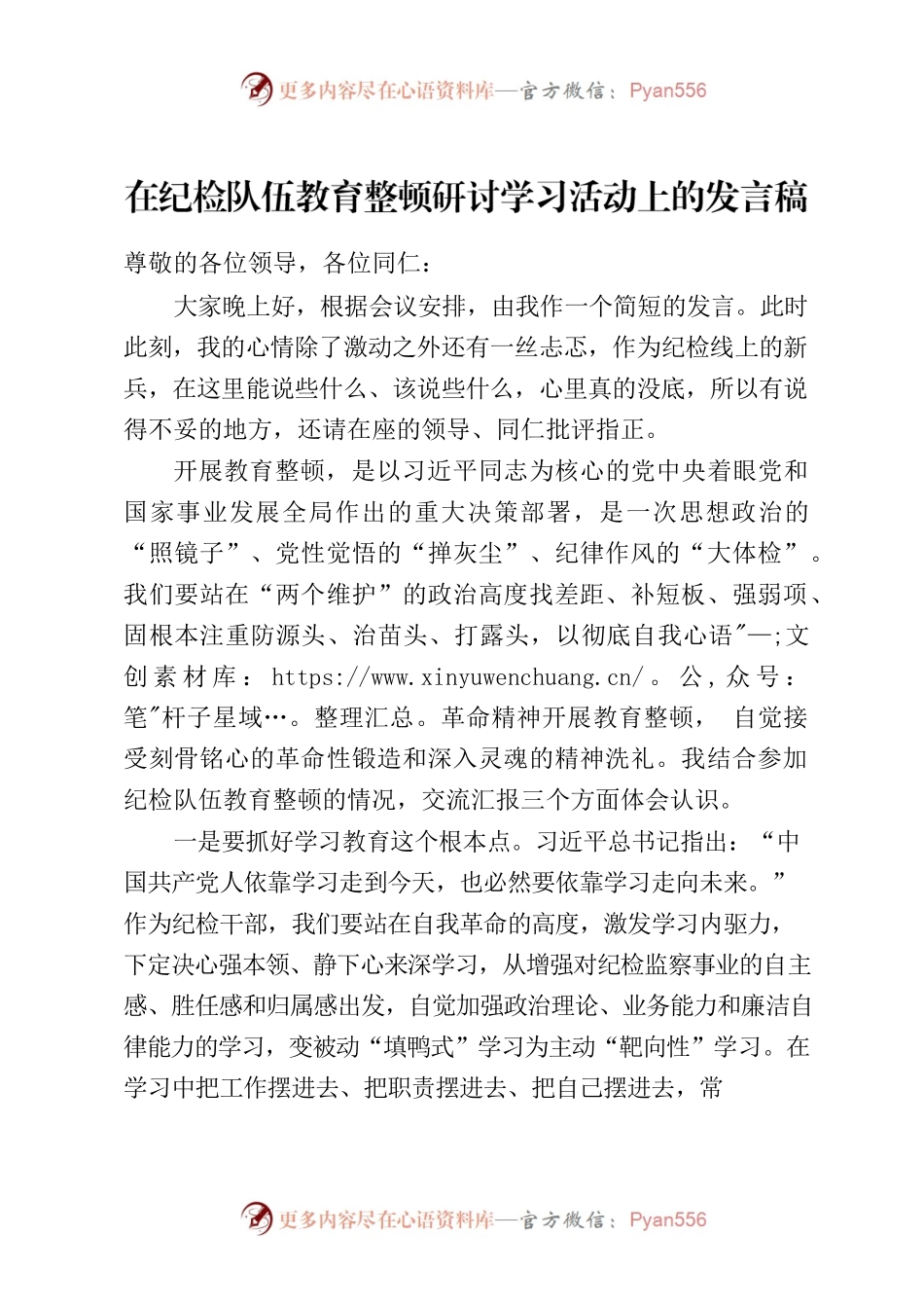在纪检队伍教育整顿研讨学习活动上的发言稿.docx_第1页