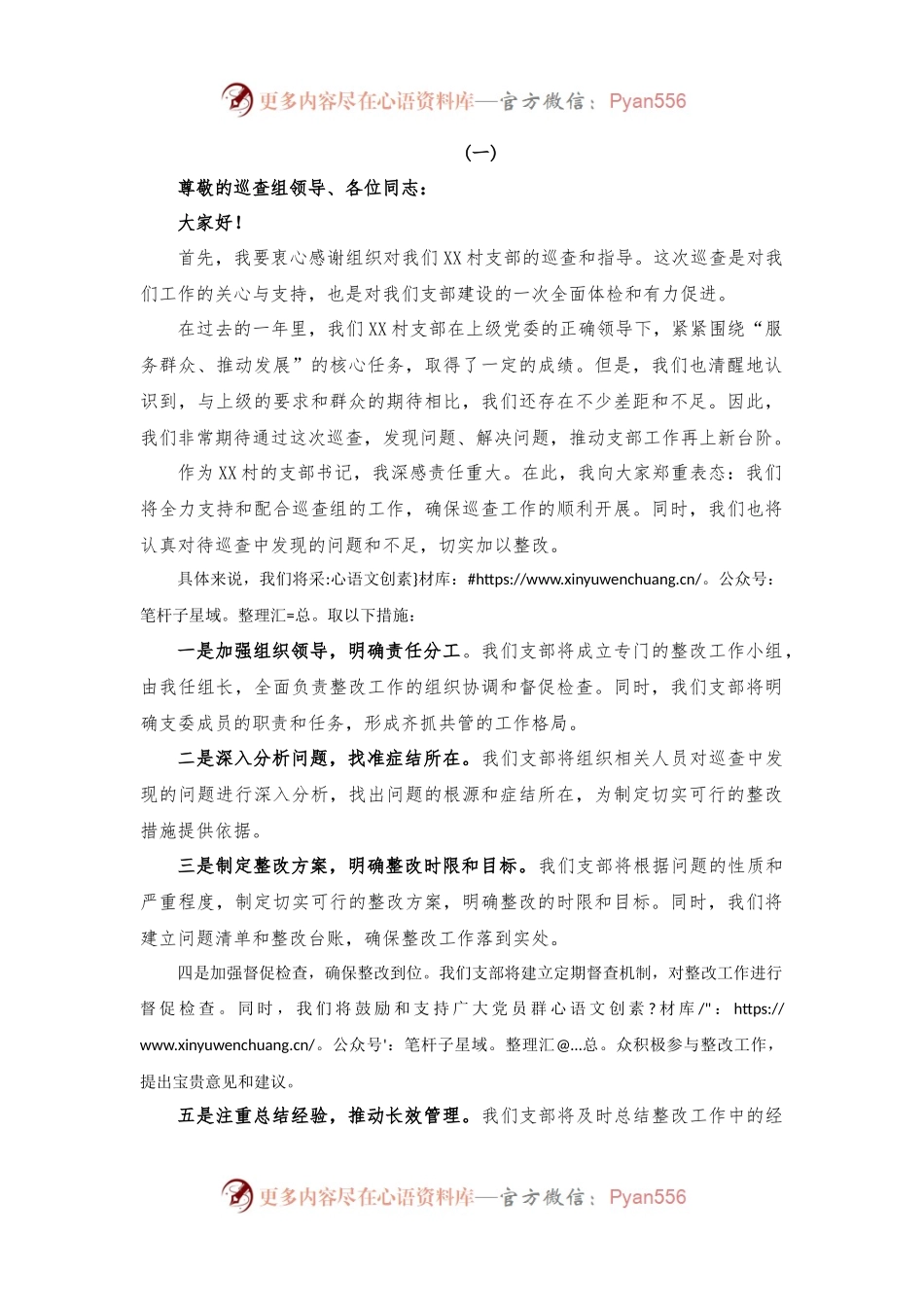 巡查支部书记表态发言.docx_第1页