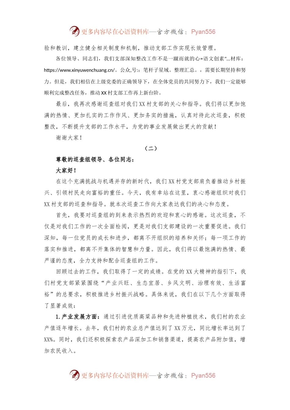 巡查支部书记表态发言.docx_第2页
