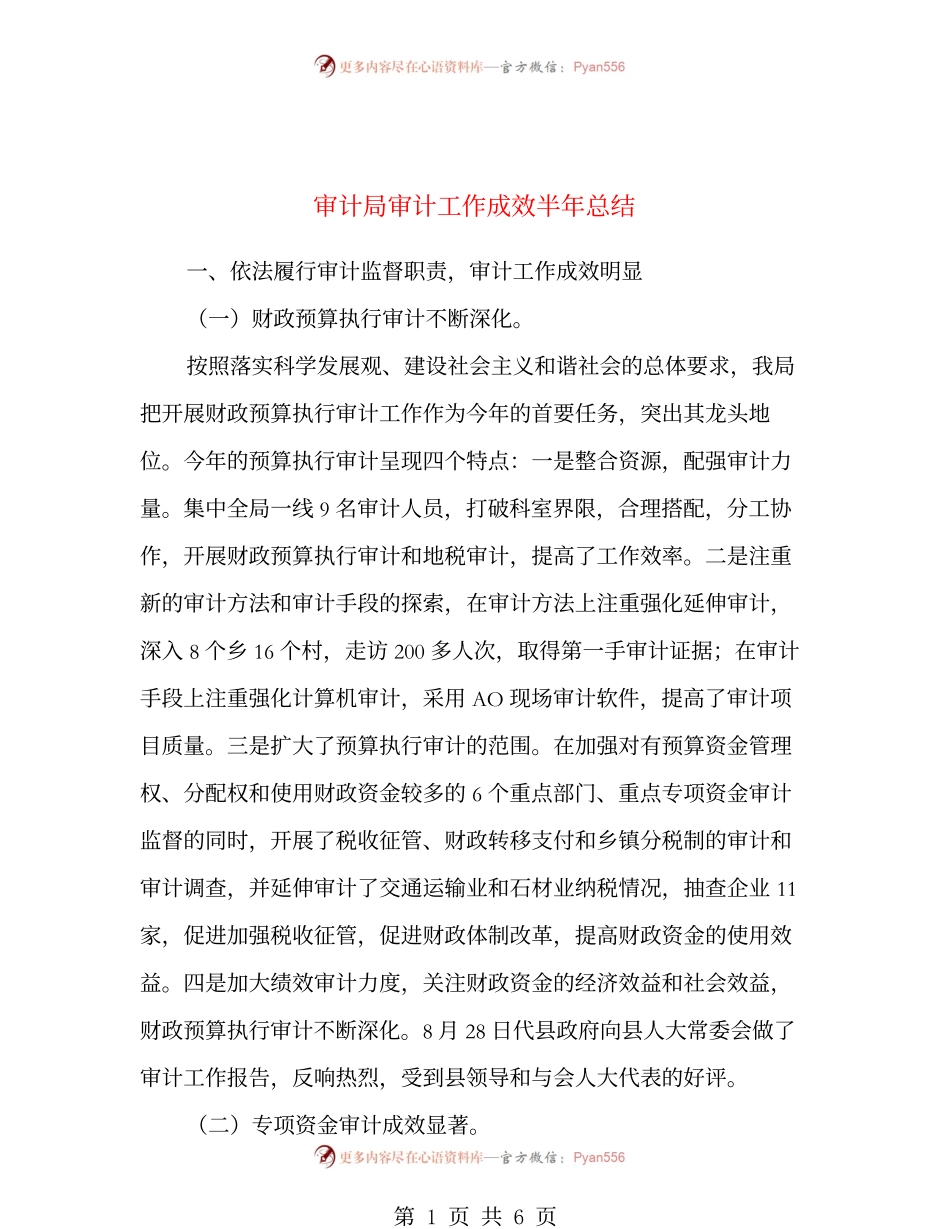 审计局审计工作成效半年总结.docx_第1页