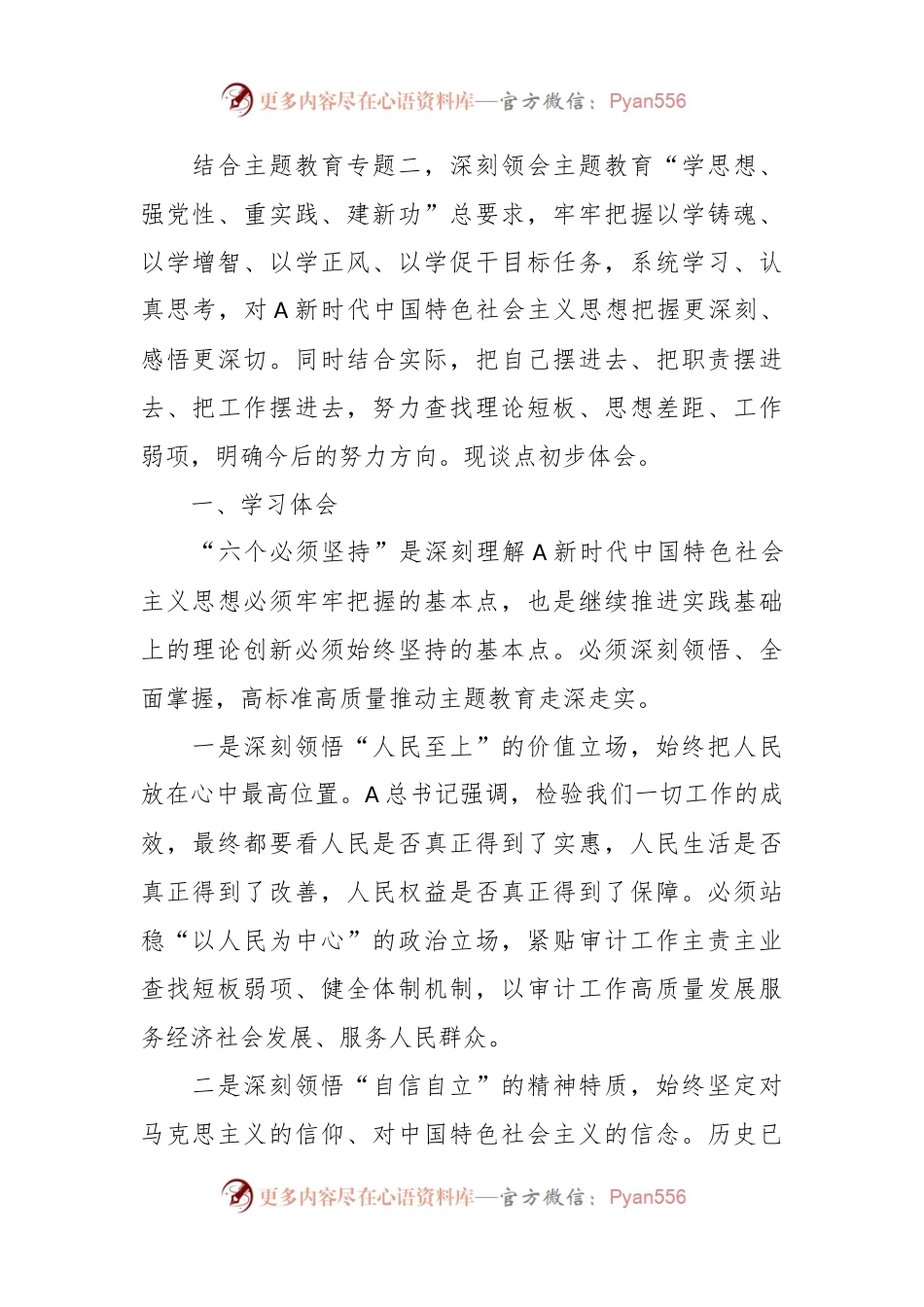 审计局局长在区委主题教育“六个坚持”专题学习会上的交流材料.docx_第2页