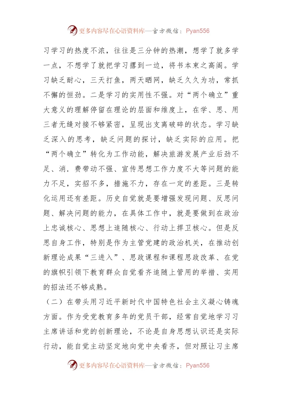 宣传部部长2023年度民主生活会“六个方面”对照检查材料.docx_第2页