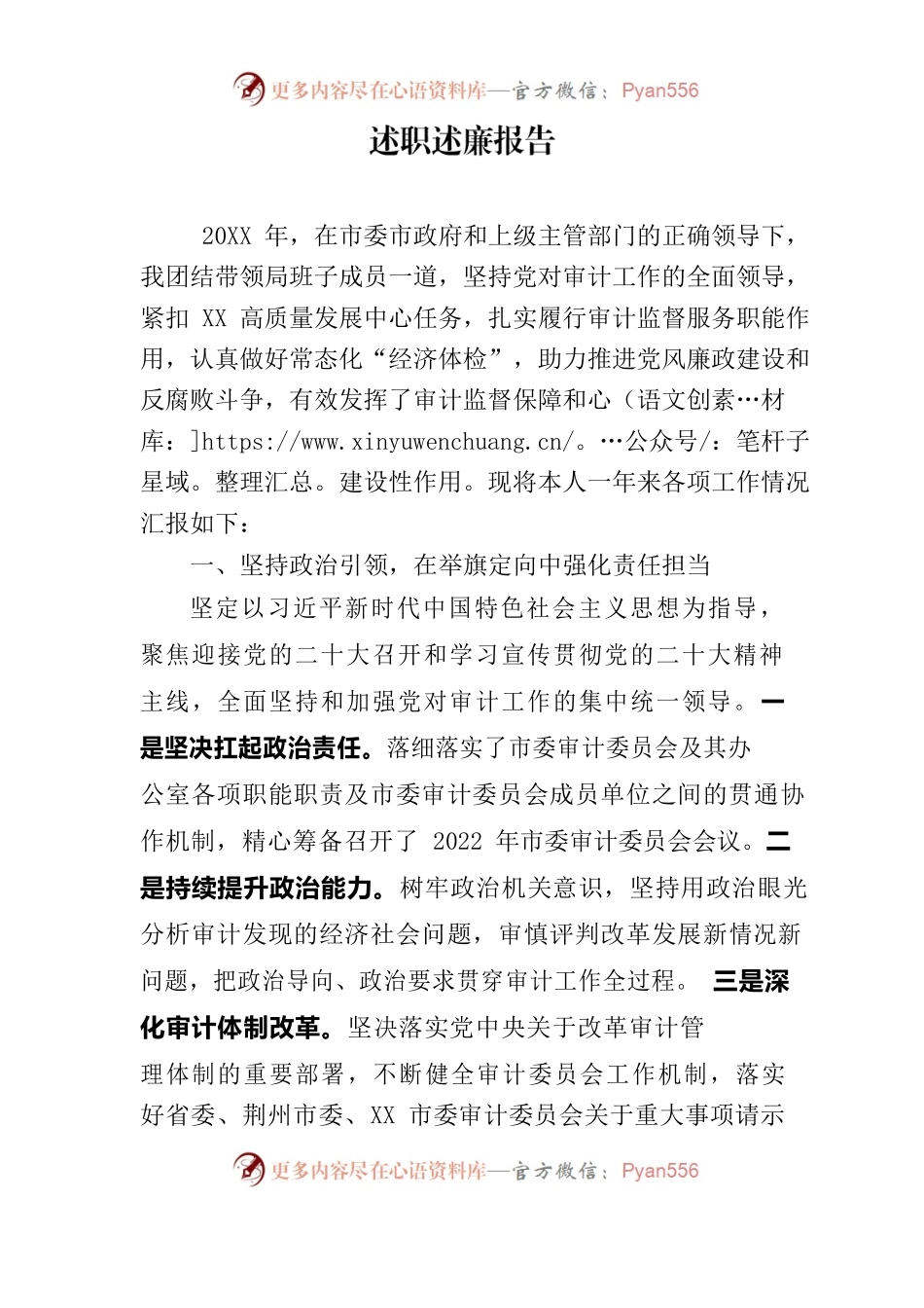 审计系统党组书记述职述廉报告.docx_第1页