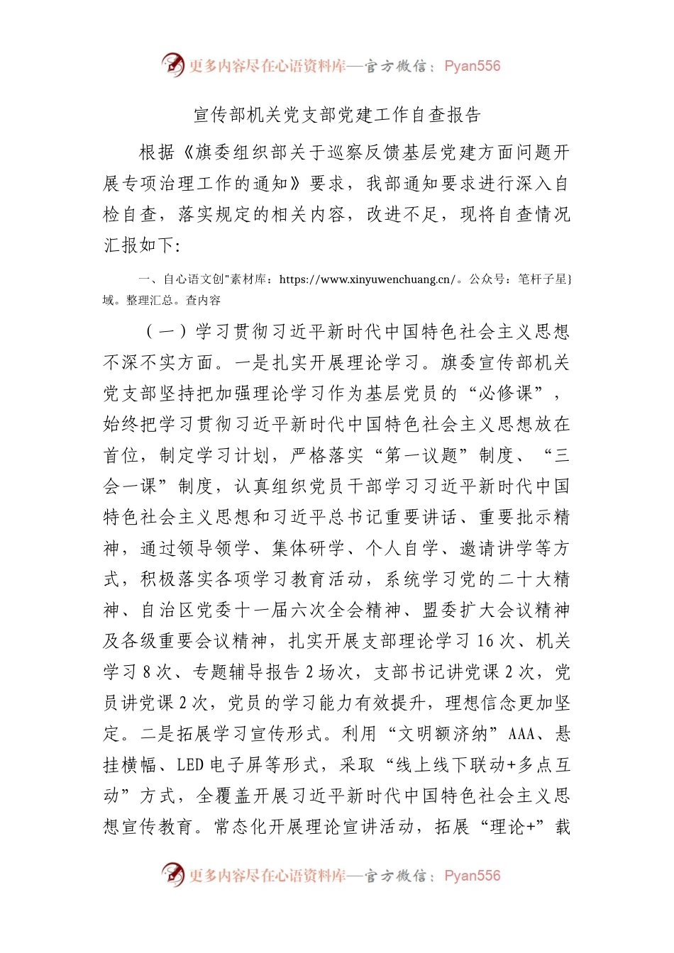 宣传部党支部党建工作问题自查报告（2300字总结）.docx_第1页