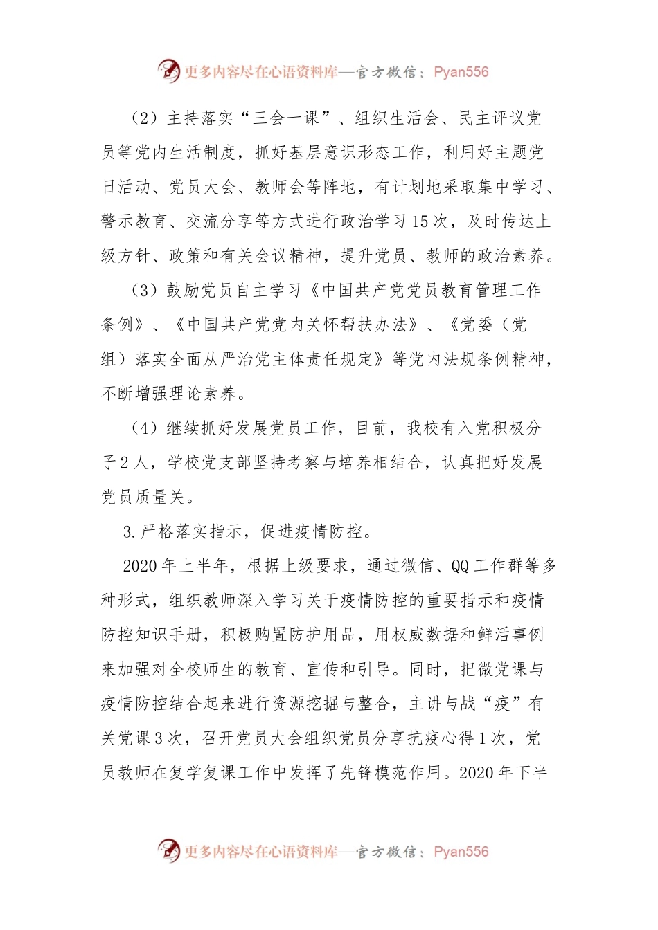 学校党支部书记履行抓党建工作第一责任人的职责述职报告.docx_第2页