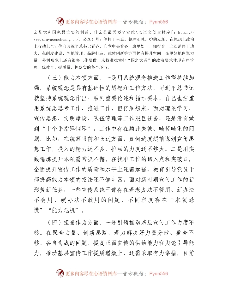 宣传部长2023年主题教育民主生活会个人对照检查材料(1).docx_第2页