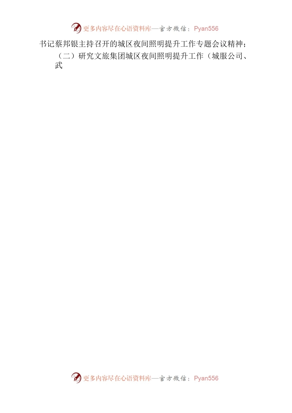 城区夜间照明提升工作专题会议方案.docx_第2页