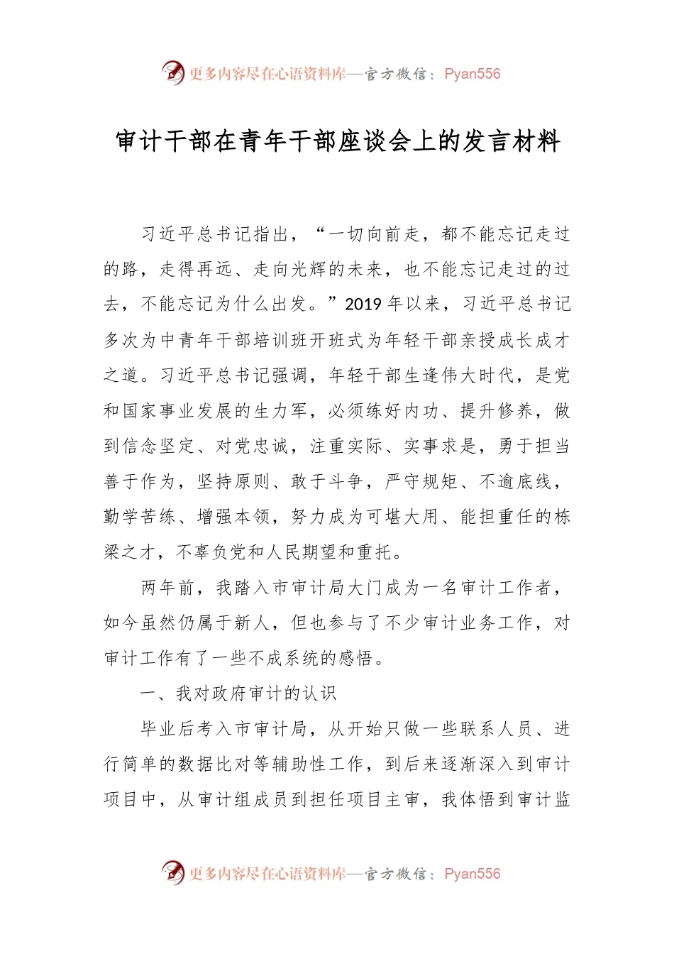 审计干部在青年干部座谈会上的发言材料.docx_第1页