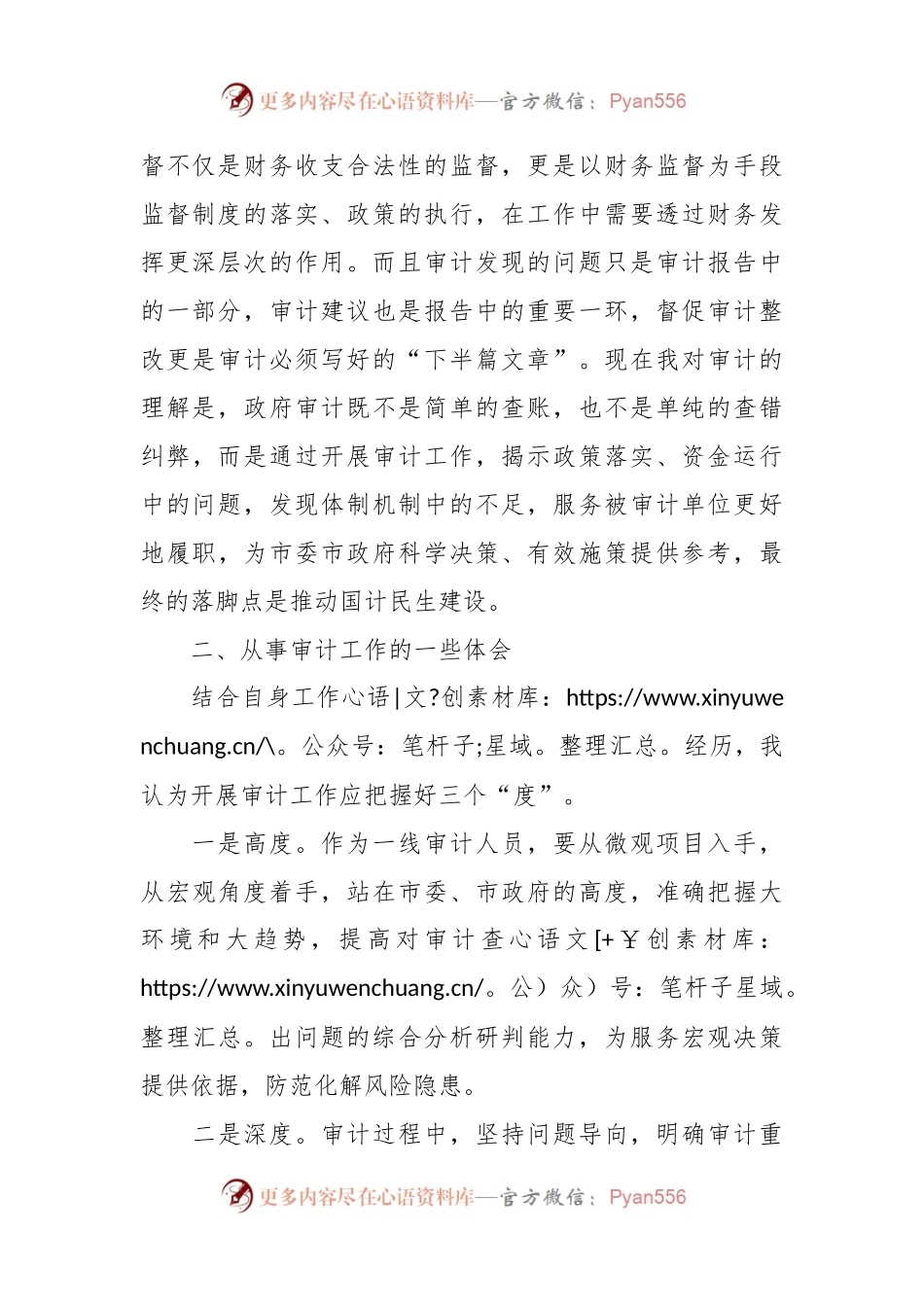 审计干部在青年干部座谈会上的发言材料.docx_第2页