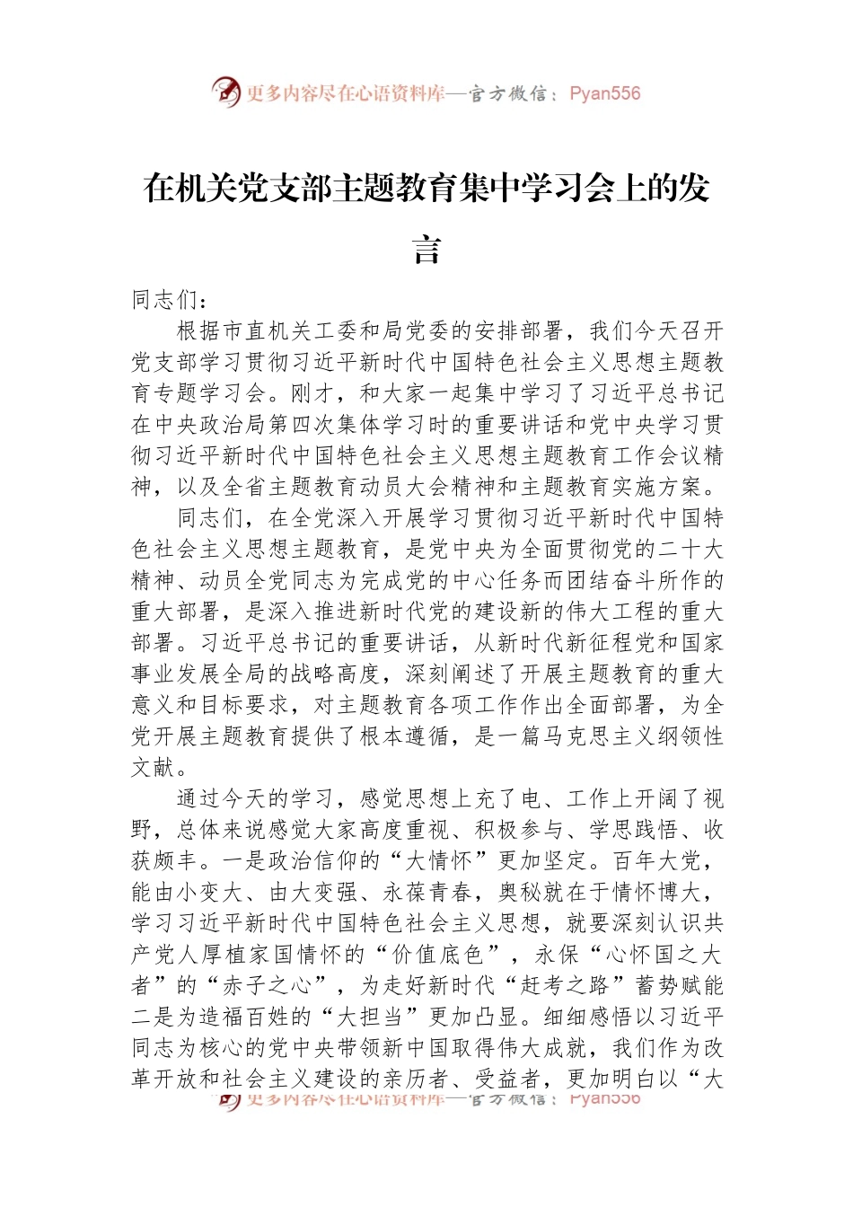 在机关党支部主题教育集中学习会上的发言.docx_第1页