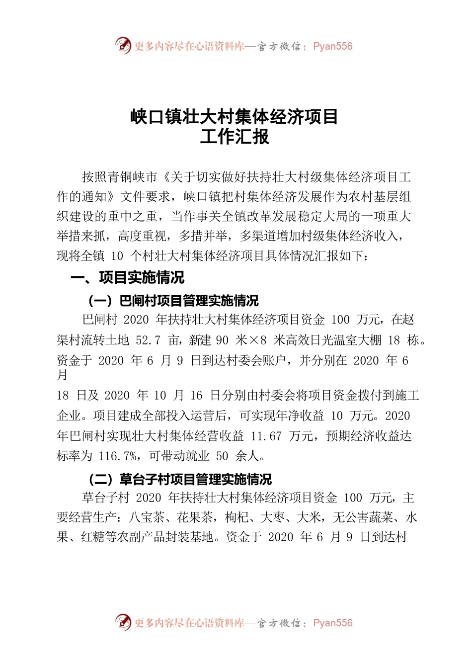 峡口镇壮大村集体经济工作汇报.docx_第1页