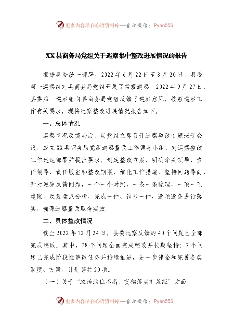 局党组关于巡察集中整改进展情况的报告.docx_第1页
