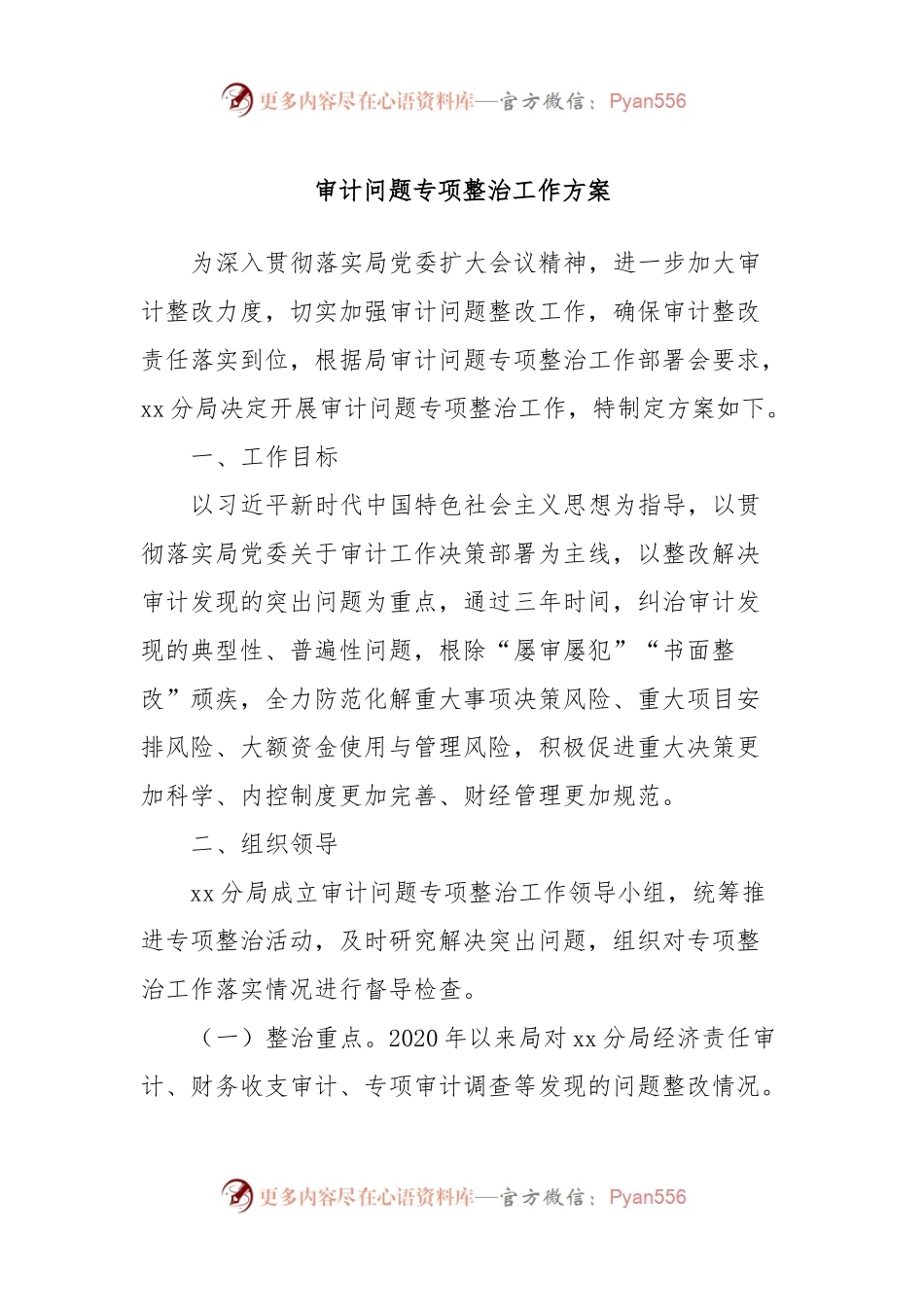 审计问题专项整治工作方案.docx_第1页