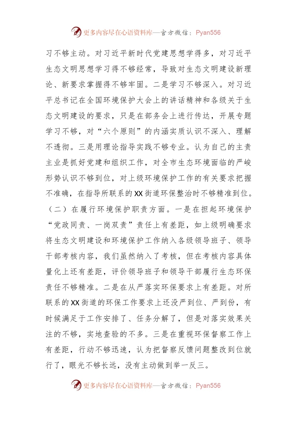 在环保督察回头看问题整改专题民主生活会个人对照检查材料.docx_第2页