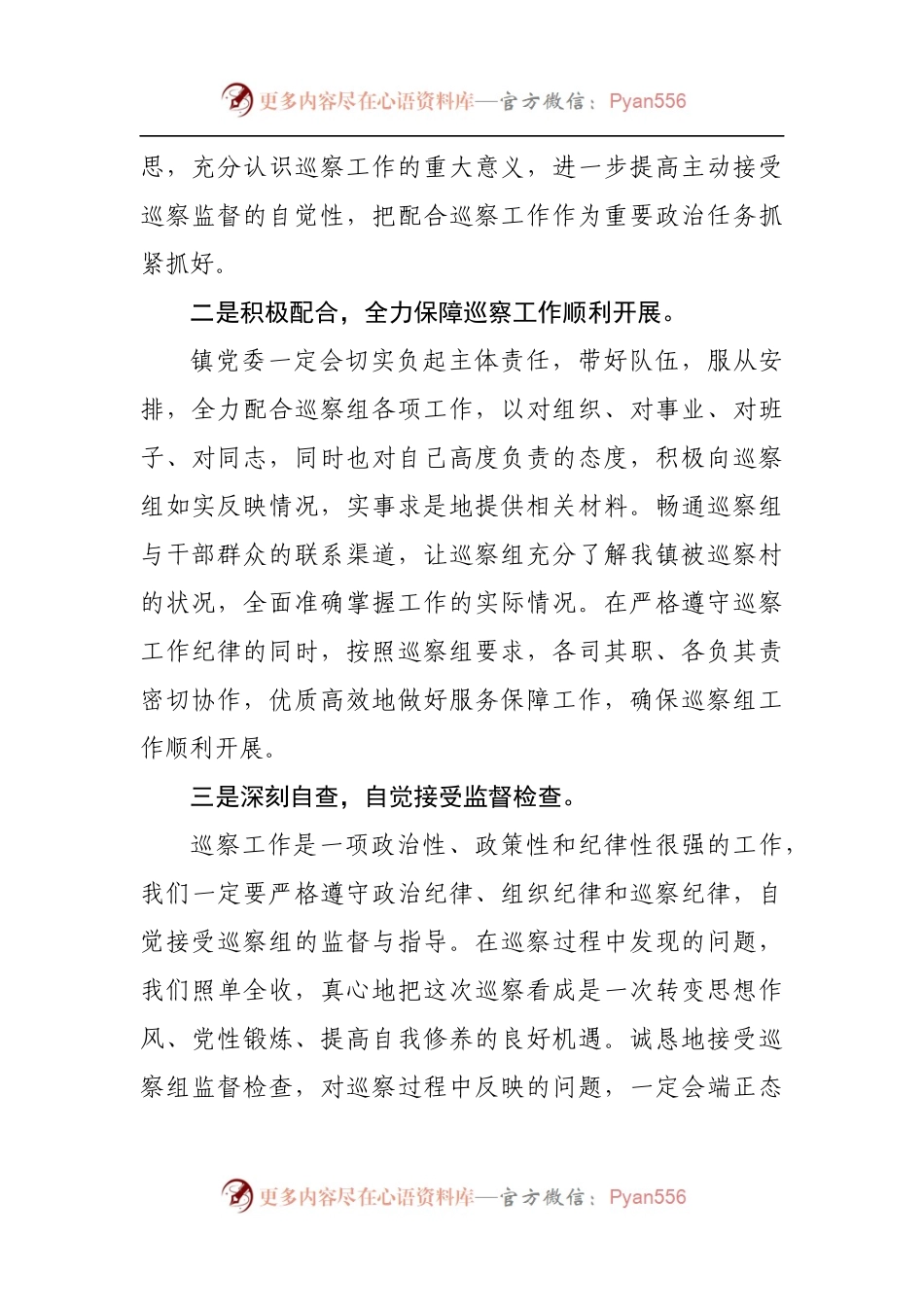 巡察工作动员会上的表态发言（二）.docx_第2页