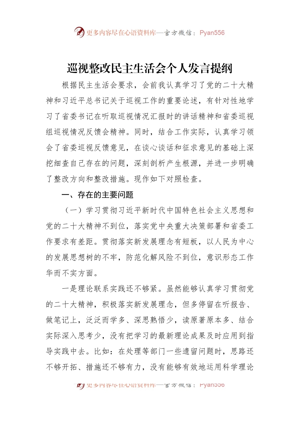 巡视整改民主生活会个人发言提纲.docx_第1页