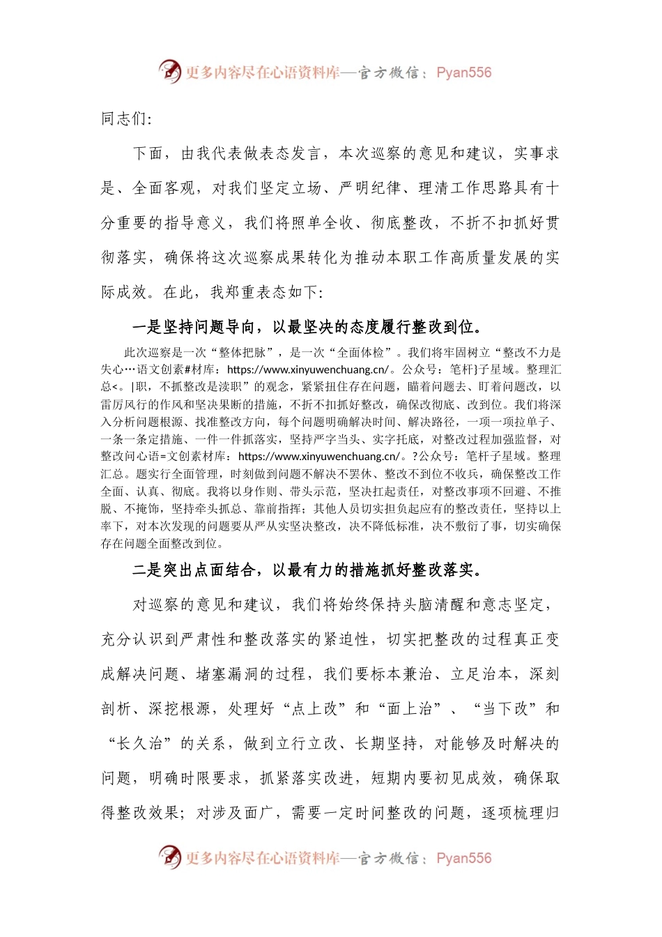 巡察整改会表态发言.docx_第1页