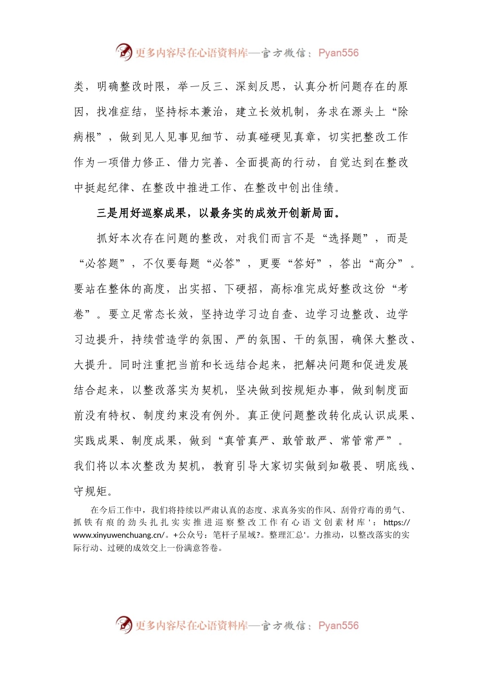 巡察整改会表态发言.docx_第2页