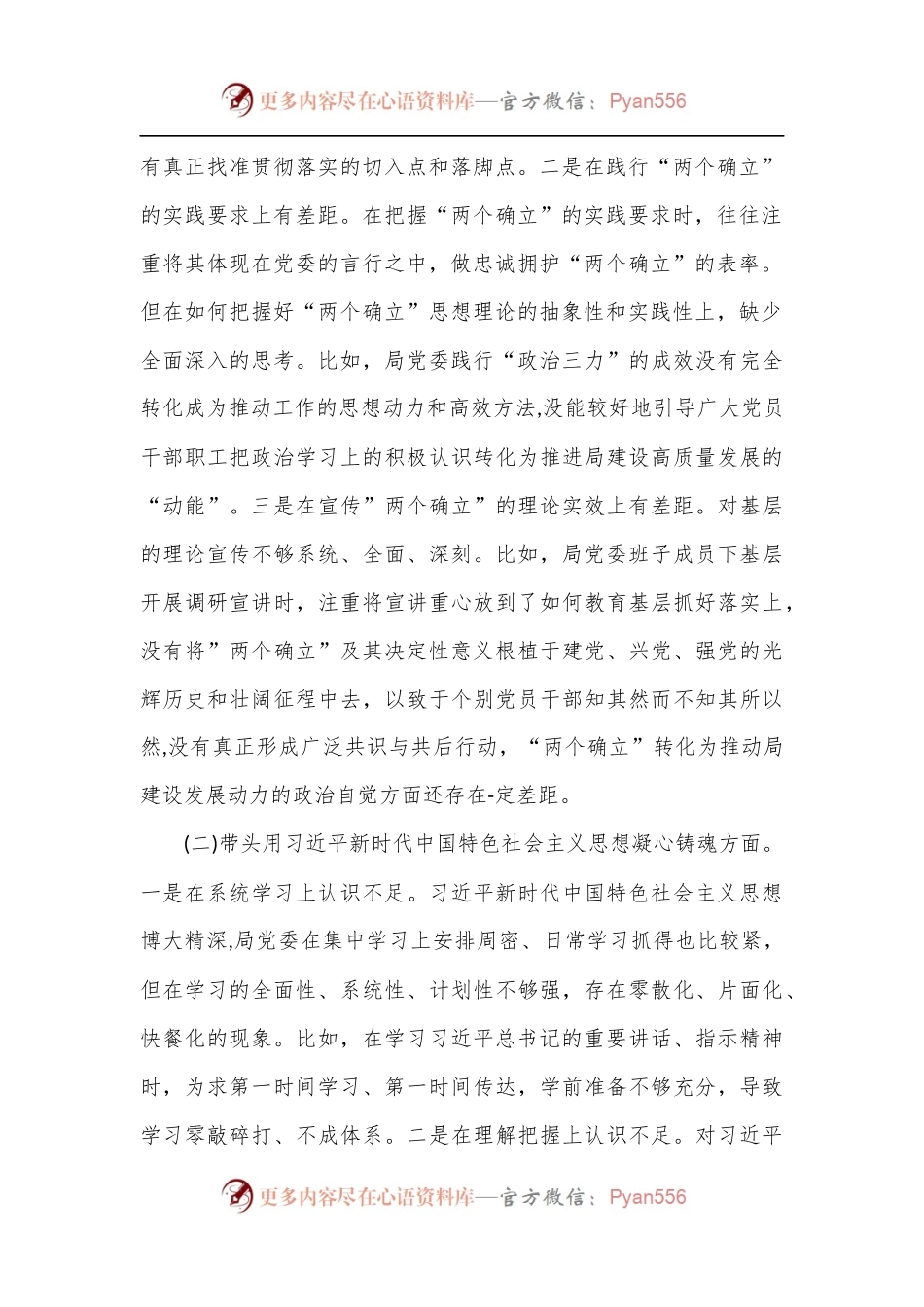 市公安局局党委班子2022年度民主生活会对照检查材料.docx_第2页
