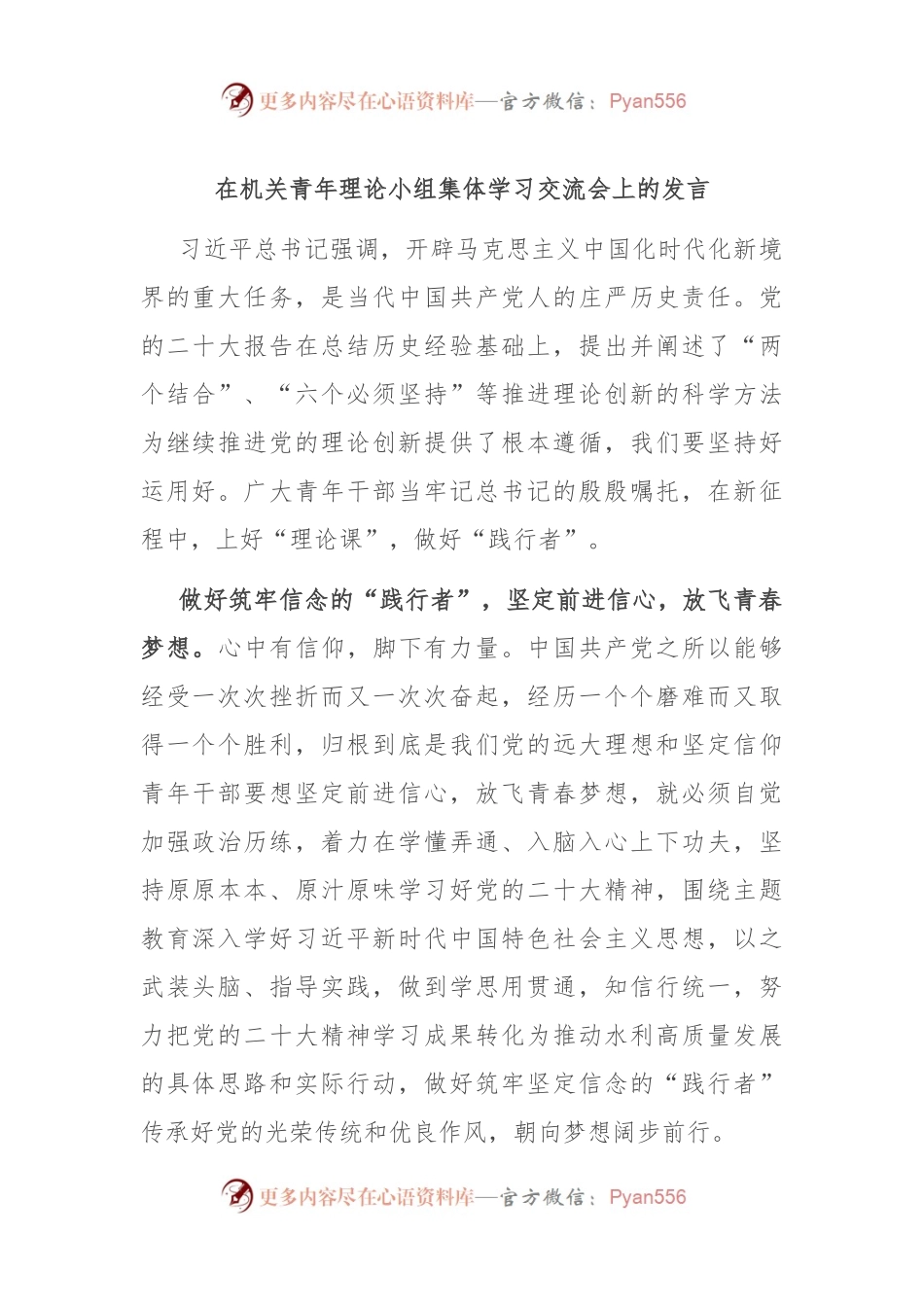 在机关青年理论小组集体学习交流会上的发言.docx_第1页