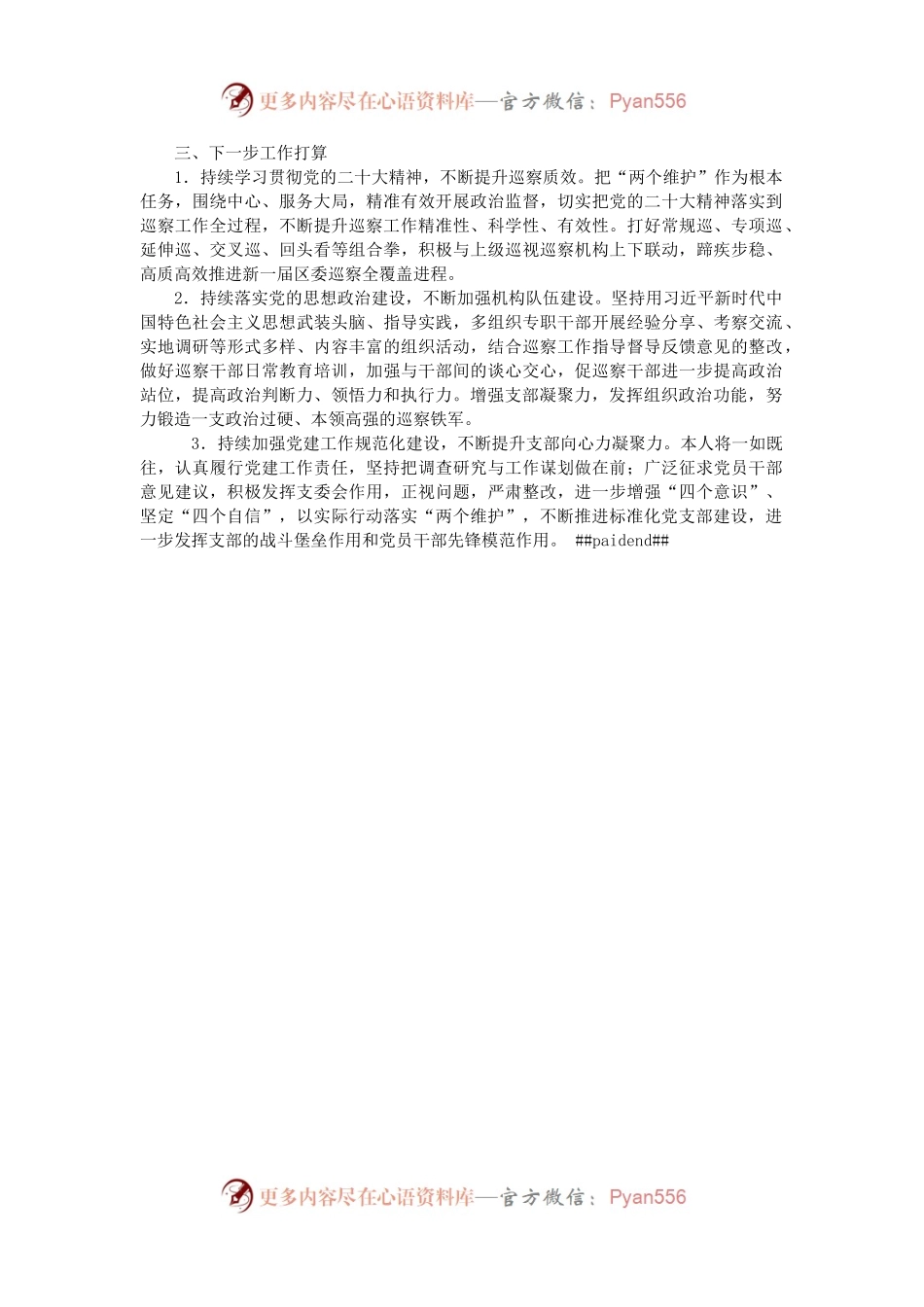巡察办党支部2022年抓基层党建工作述职报告（二）.docx_第2页