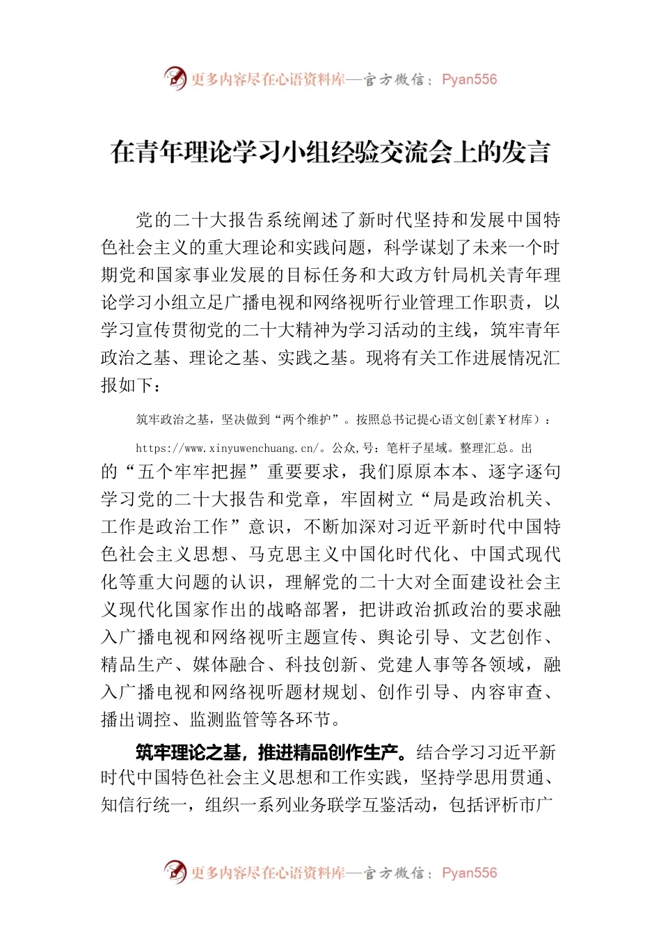 在青年理论学习小组经验交流会上的发言.docx_第1页