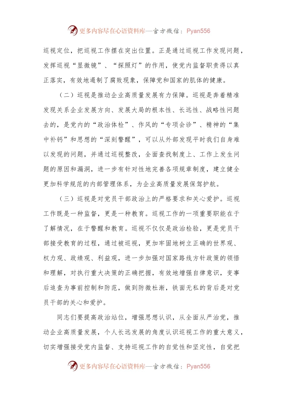 在集团公司党委巡视公司党委巡视迎检会上的讲话.docx_第2页