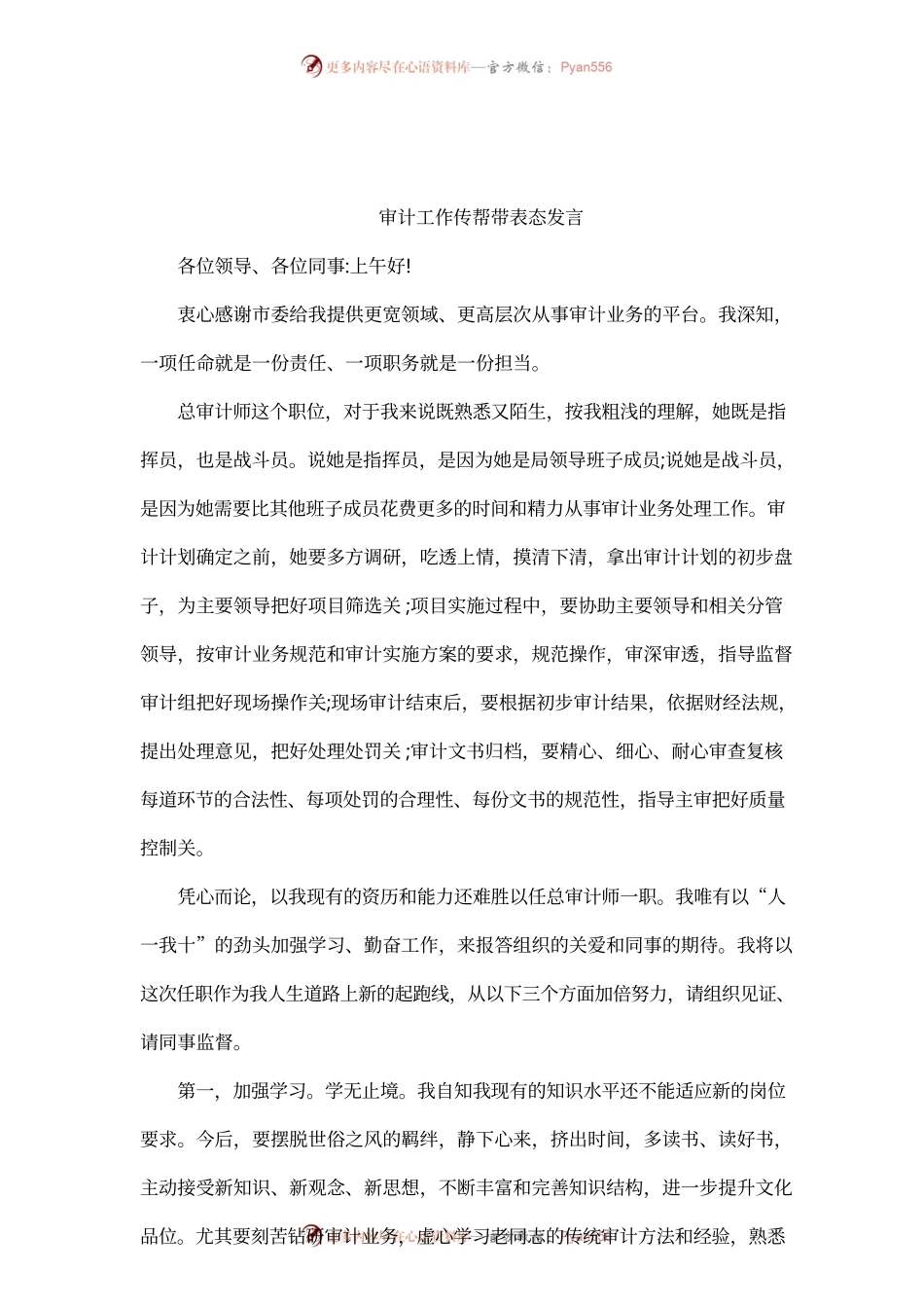 审计工作传帮带表态发言.docx_第1页