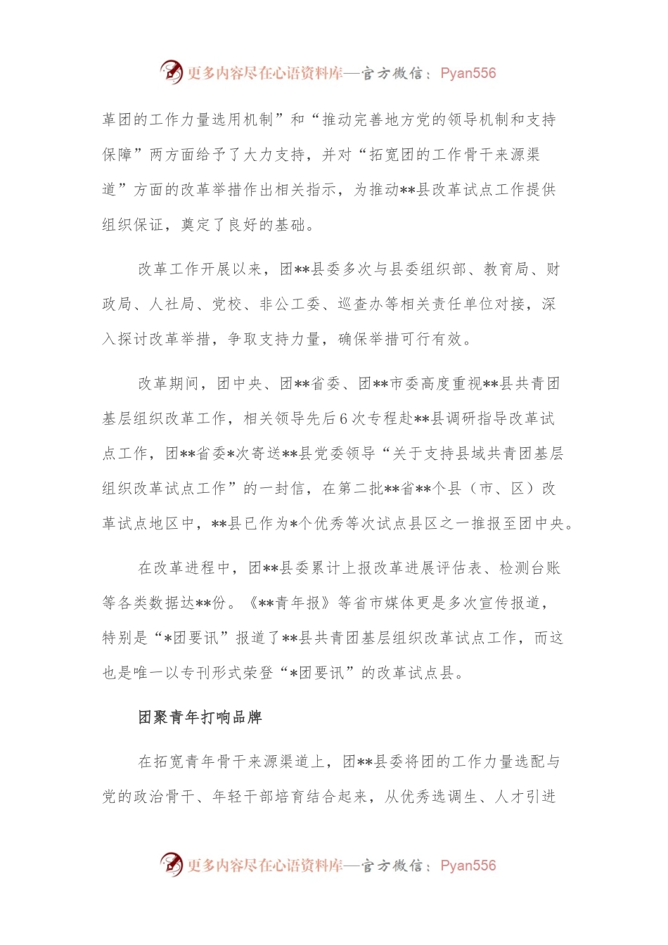 工作汇报：探索“4+N”改革模式务青年坚实桥梁架起联系服.docx_第2页